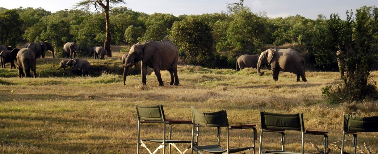 8 days Majestic Landscapes Luxury Safari