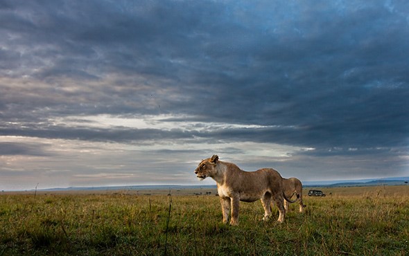 ruaha national park