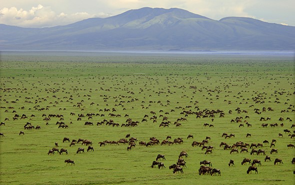 saadani national park