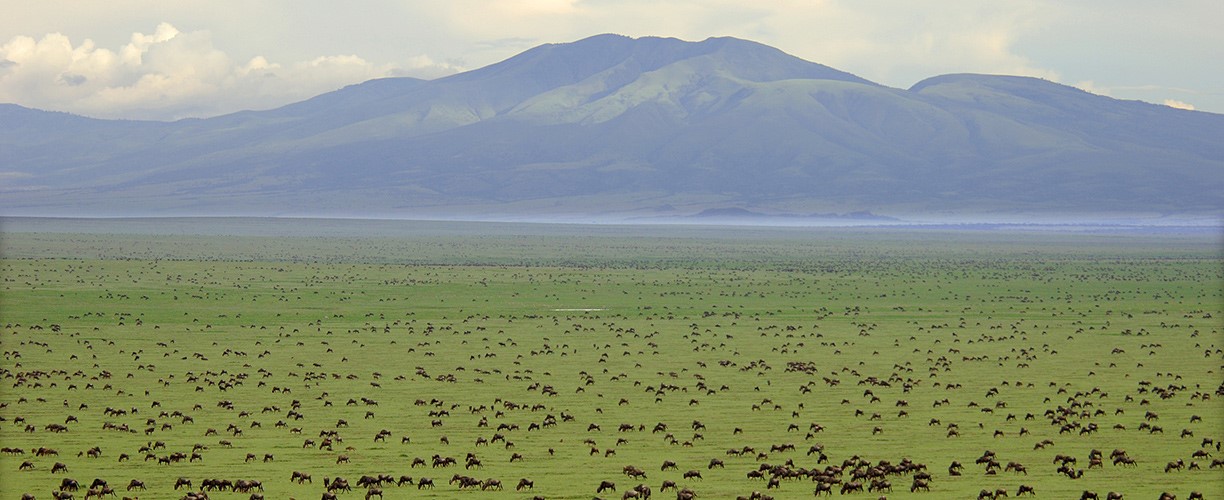 saadani national park