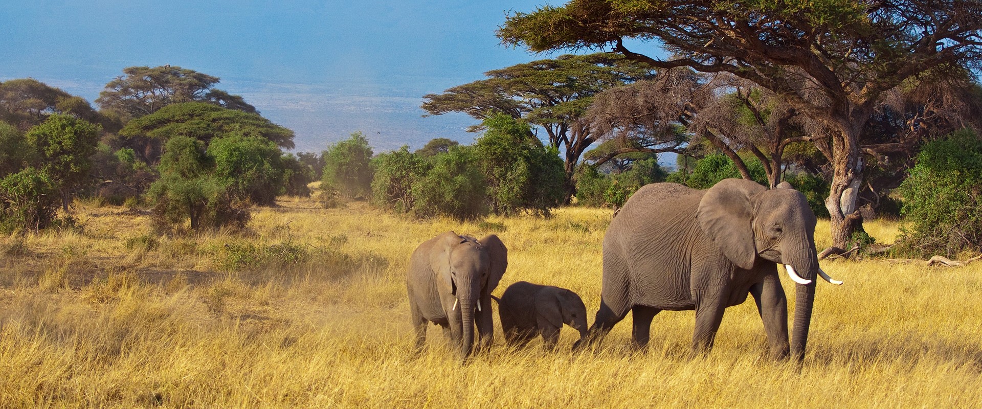tanzania